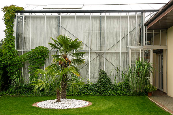 Hotel pod Palmami-39